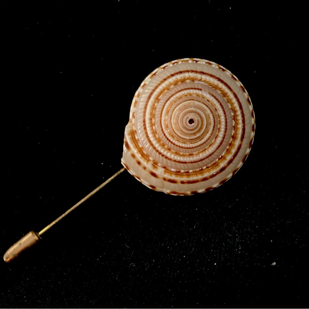 Miriam Haskell Vintage Nautilus Shell Stick Pin 3" - image 7